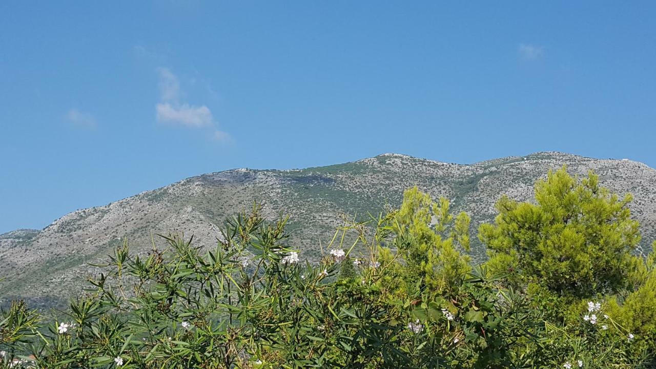 Guest House Sol Cavtat Exterior foto